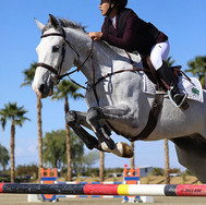 jumping horse photo