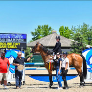 winning horse show photo