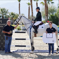 desert horse park winner